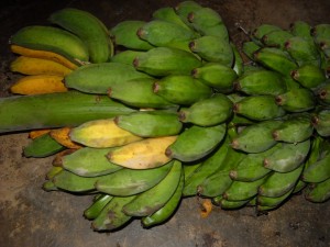 PISANG AWAK