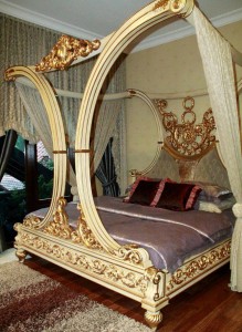 11821466_769942956462449_859299762_o