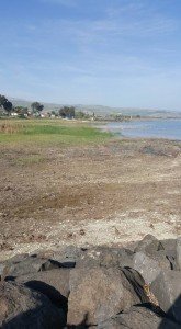 Bukti tasik semakin kering dn sentiasa ditambah dek Israel..