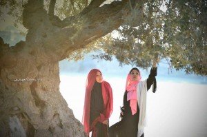 Sy mengambil kesempatan bergambar di bawah pohon zaitun yg diberkati.. ada 3 pohon semuanya.. Kesemua pohon zaitun ini hidup dlm masjid kawasan masjid Aqsa..
