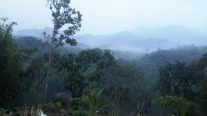 Sy lebih senang dgn hutan, ini rumah baru sy kerana dgn alam hati makin dekat berbicara dgn Allah, x melihat maksiat dn kesakitan dunia..