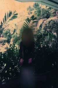 pn-dress
